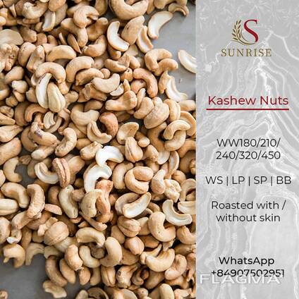 Cashew Nuts from Vietnam