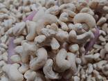 Cashew Nuts from Vietnam - photo 5
