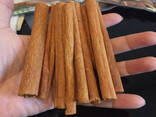 Cassia Stick / Powder from Vietnam - photo 7