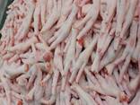 Frozen Halal Whole Chicken and chicken parts for sale - фото 1