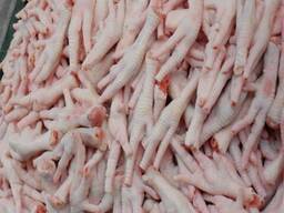 Frozen Halal Whole Chicken and chicken parts for sale