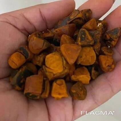 High Quality Cattle Gallstones Cow