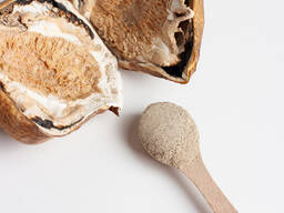 Premium 10:1 Mushroom Extracts &amp; Adaptogen Roots (Small B2B)