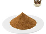 Premium 10:1 Mushroom Extracts &amp; Adaptogen Roots (Small B2B) - фото 1