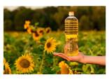 Premium Quality Refined sunflower oil cooking oil | Organic Non GMO Sunflower Oil - photo 3