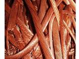 Pure millbery copper /copper scrap/ copper wire scraps 99.9%. for export - photo 1