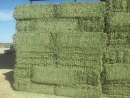 Quality hay bales