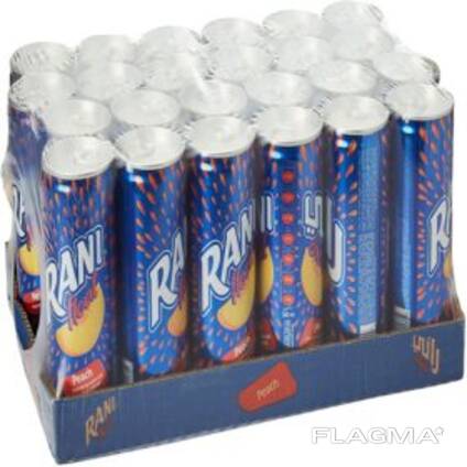 Rani Float Mango Fruit Drink