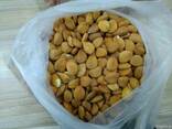 Сухофрукты орехи курага изюм арахис из Узбекистана - фото 1