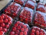 Sweet cherries - фото 2