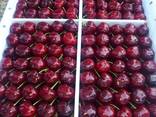 Sweet cherries - photo 6